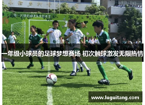 一年级小球员的足球梦想赛场 初次触球激发无限热情